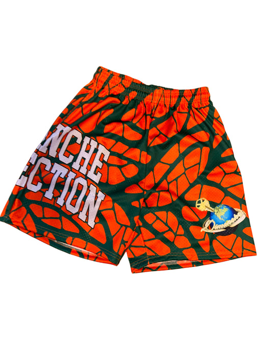 Miami Color Way